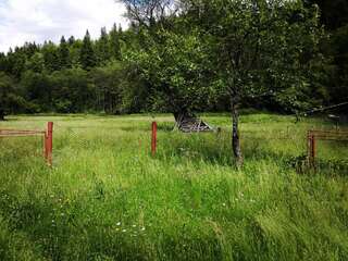 Дома для отпуска Садиба Брусний Микуличин Дом с 2 спальнями-15