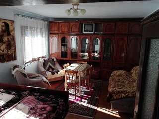 Дома для отпуска Садиба Брусний Микуличин Дом с 2 спальнями-24