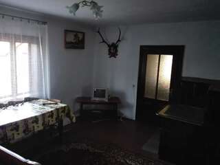 Дома для отпуска Садиба Брусний Микуличин Дом с 2 спальнями-28