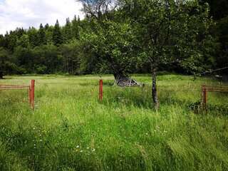 Дома для отпуска Садиба Брусний Микуличин Дом с 2 спальнями-33