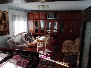 Дома для отпуска Садиба Брусний Микуличин Дом с 2 спальнями-6